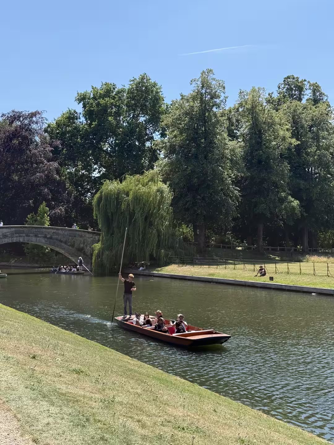 A chauffeur poling a punt along a leafy stretch of the River Cam, Cambridge